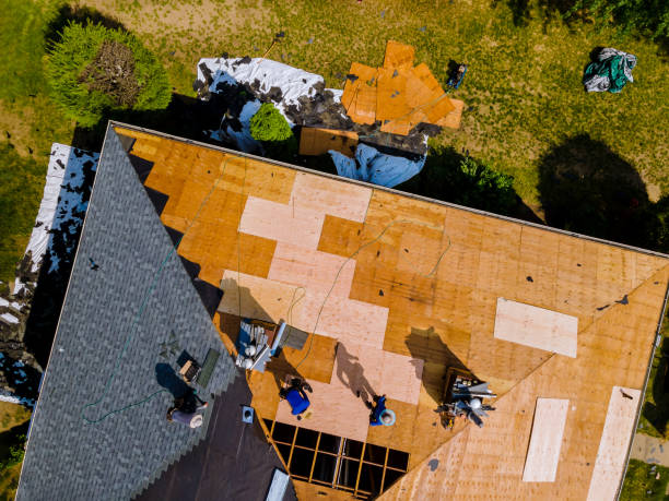 Best Commercial Roofing Services  in Ocala Estates, FL