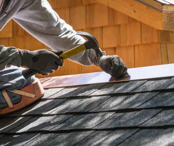Best Shingle Roofing Installation  in Ocala Estates, FL